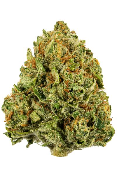 91 Chem VA Skunk - Híbrida Cannabis Strain