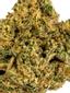 91 Tahoe Indica Cannabis Strain Thumbnail