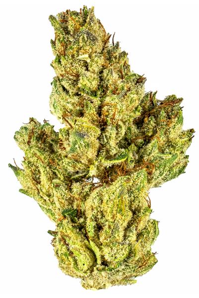 92 Hollywood Hills - Híbrido Cannabis Strain