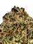 A1 Yola Indica Cannabis Strain Thumbnail