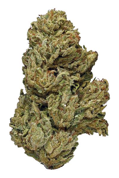 ACDC - Hybrid Cannabis Strain