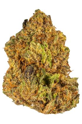 Abeddon - Hybrid Cannabis Strain