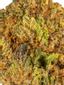 Abeddon Hybrid Cannabis Strain Thumbnail