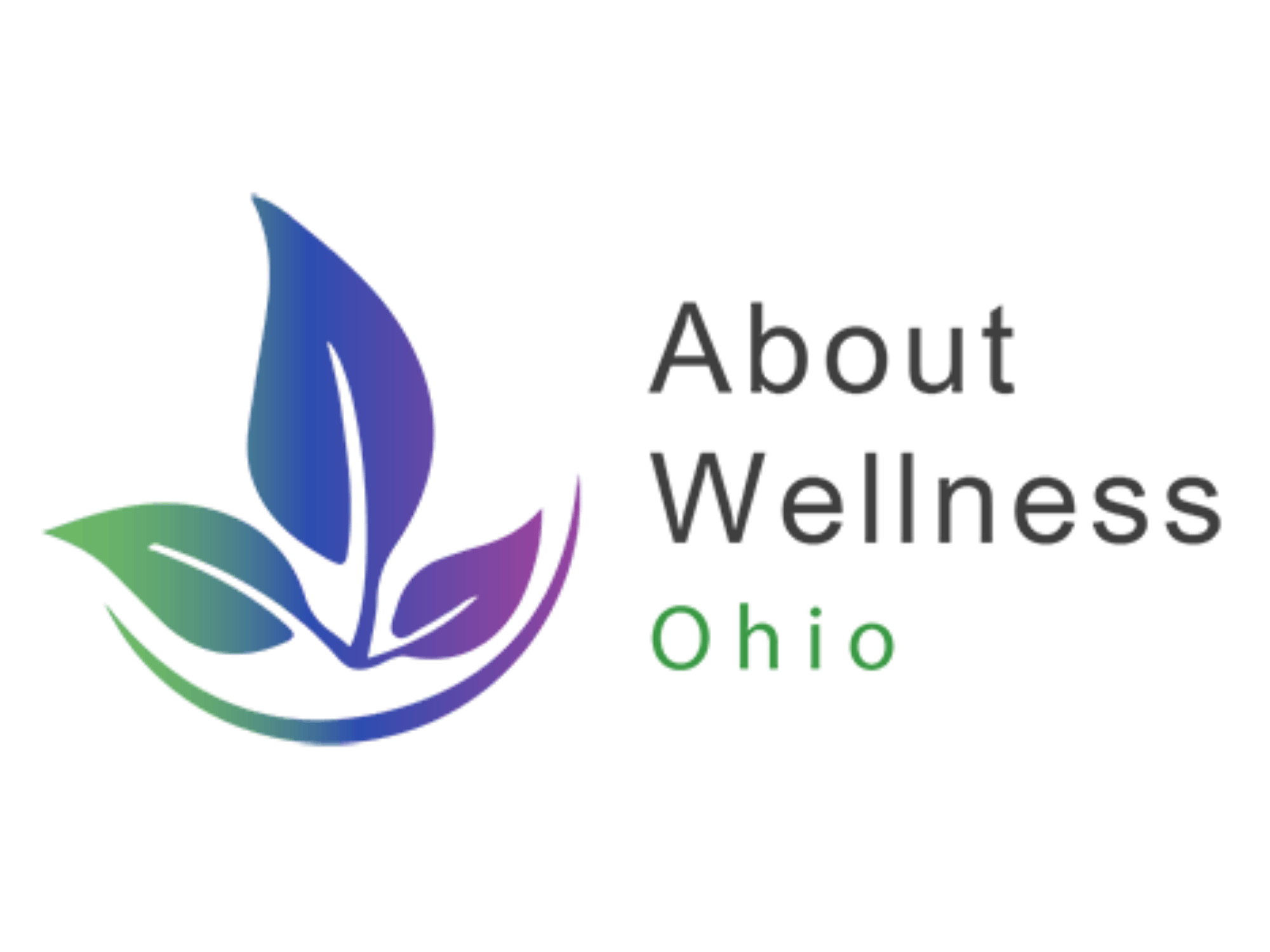 About Wellness Ohio - Logo