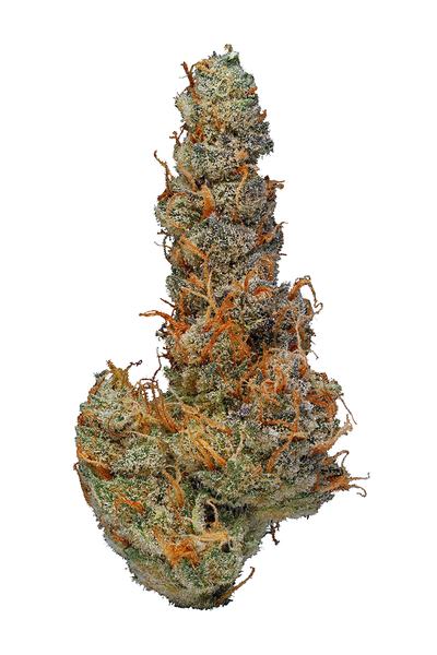 Ace Of Spades - Hybrid Cannabis Strain