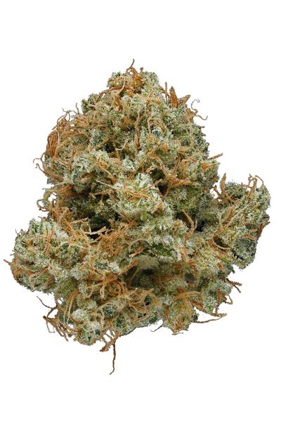 Afghan Haze - Hybrid Cannabis Strain