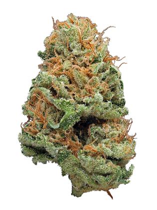 Afgoo - Indica Cannabis Strain