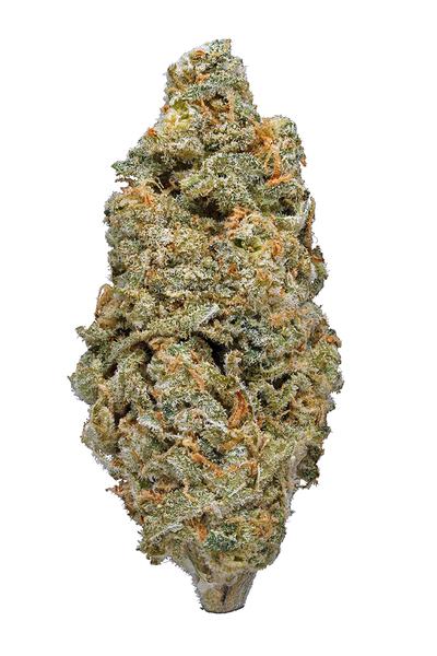 Afwreck - Hybrid Cannabis Strain