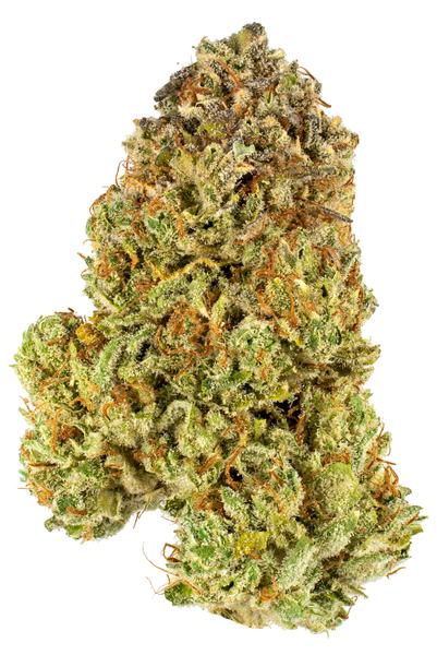 Airplane Glue - Híbrida Cannabis Strain