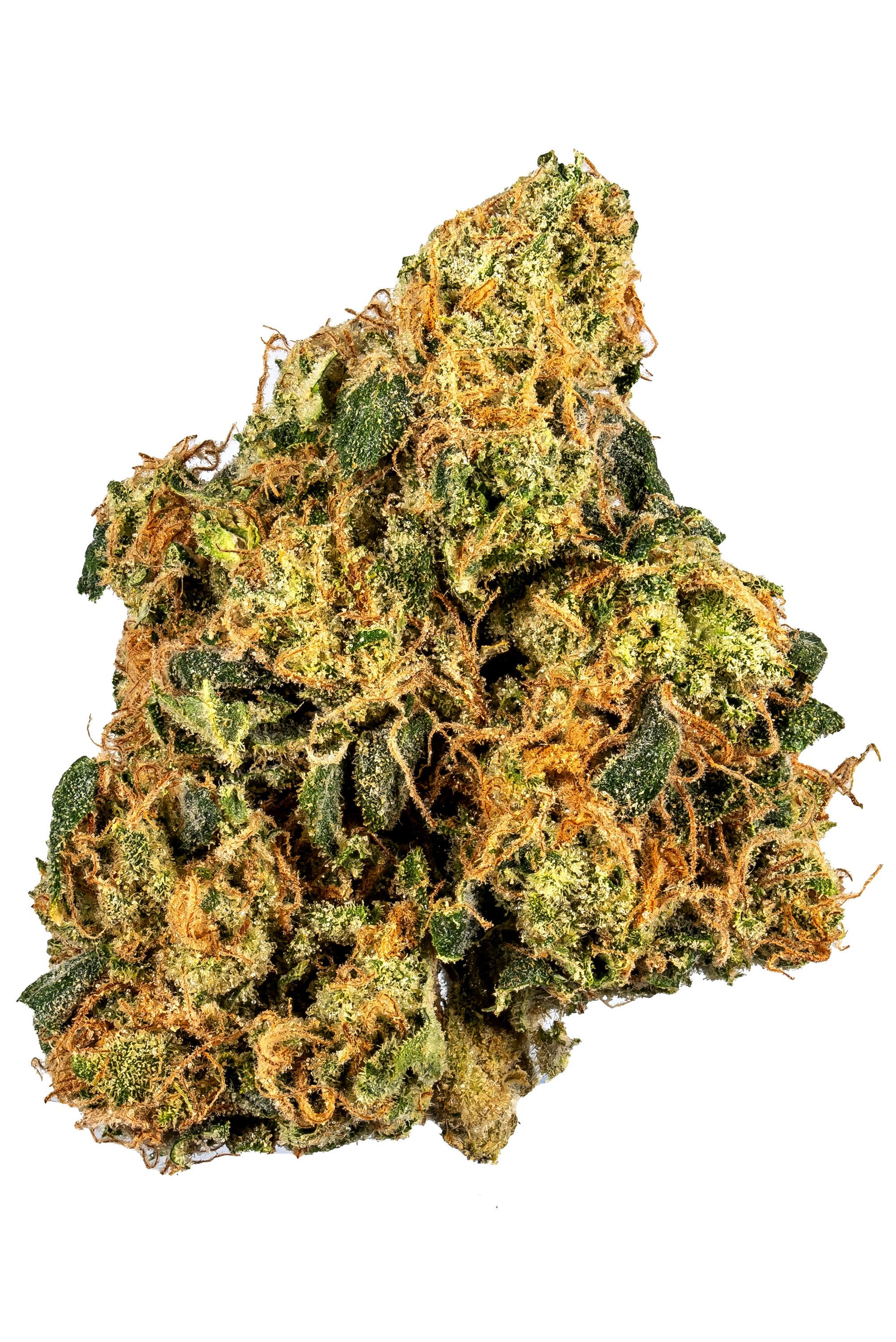 AJ Sour Diesel Strain - Hybrid Cannabis Video, CBD, THC, Terps : Hytiva