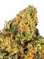 AJ Sour Diesel Hybrid Cannabis Strain Thumbnail