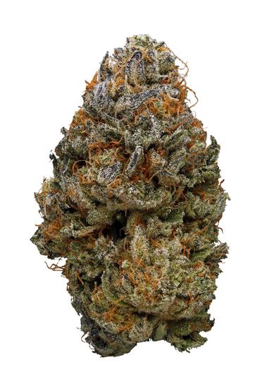 Alan Watts - Hybrid Cannabis Strain