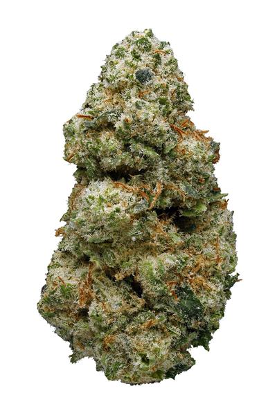 Alaskan Thunder Fuck - Sativa Cannabis Strain