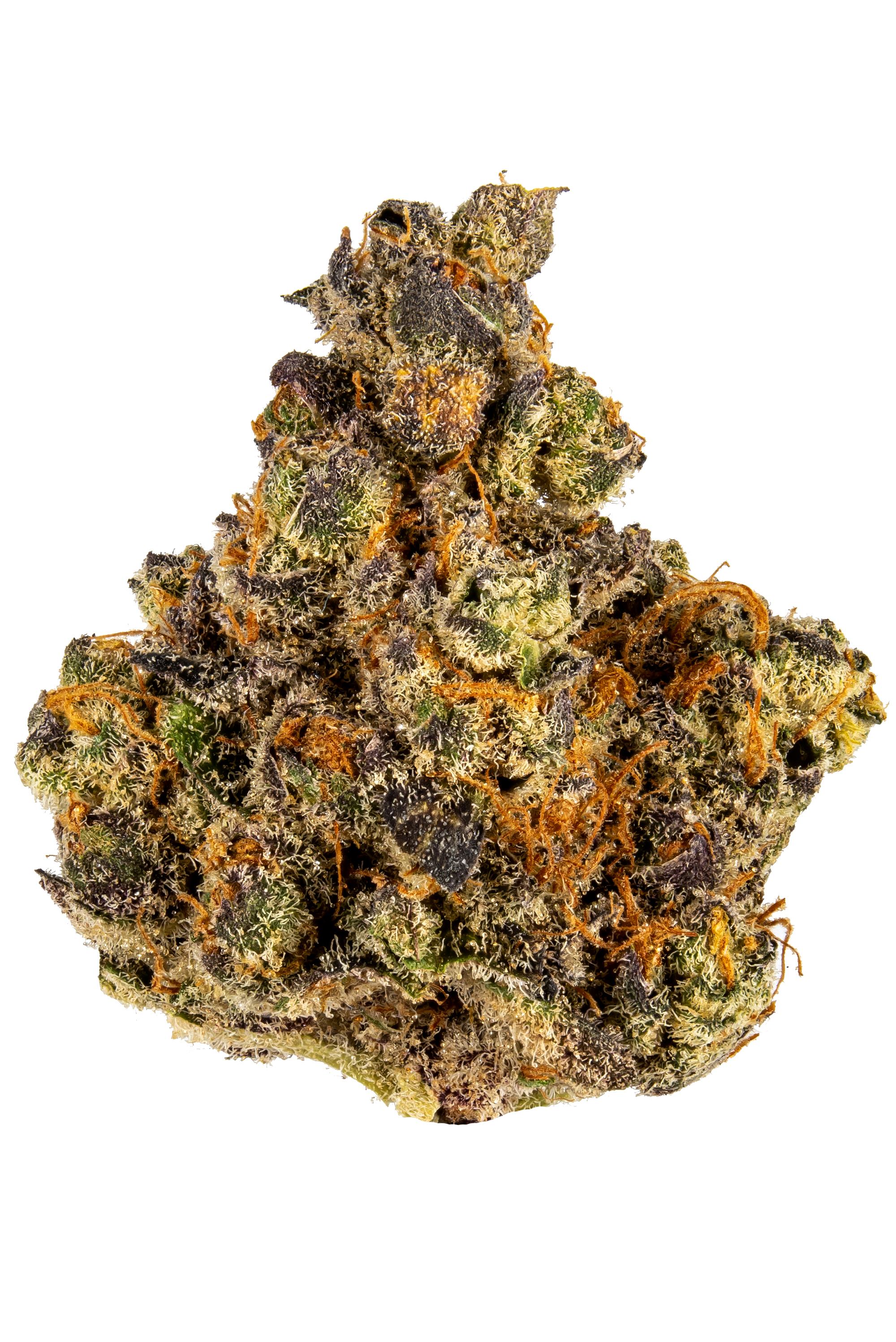 Strongest Weed Strains 2023 - Highest THC Strains