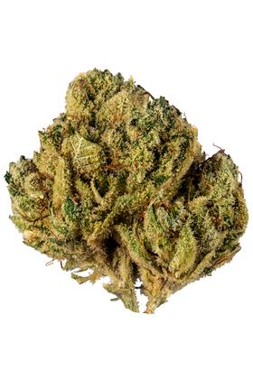 Alien Cookies - Híbrida Cannabis Strain