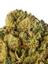Alien Cookies Hybrid Cannabis Strain Thumbnail