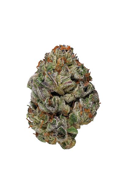 Alien Kush - Hybrid Cannabis Strain