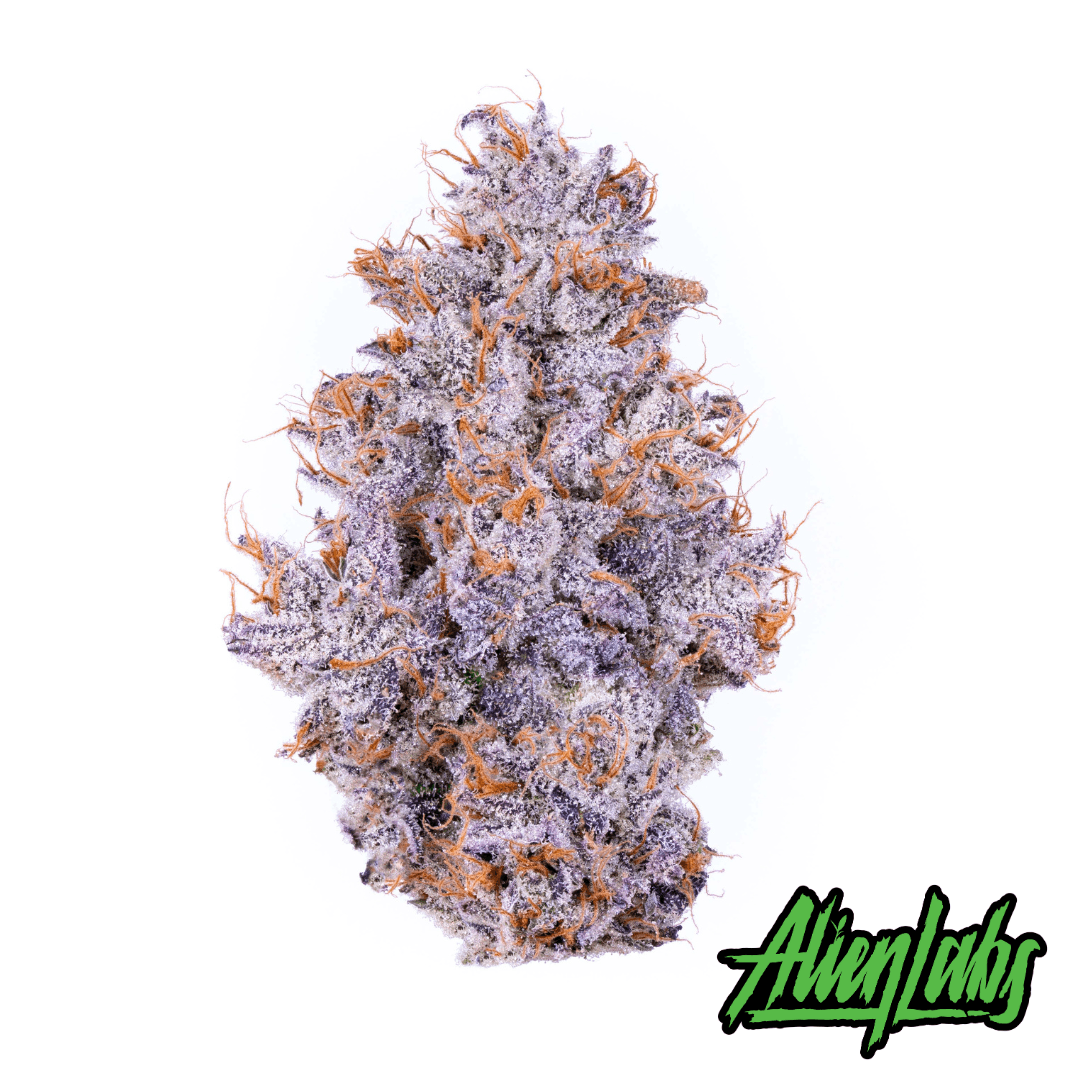 Biskante Product Image