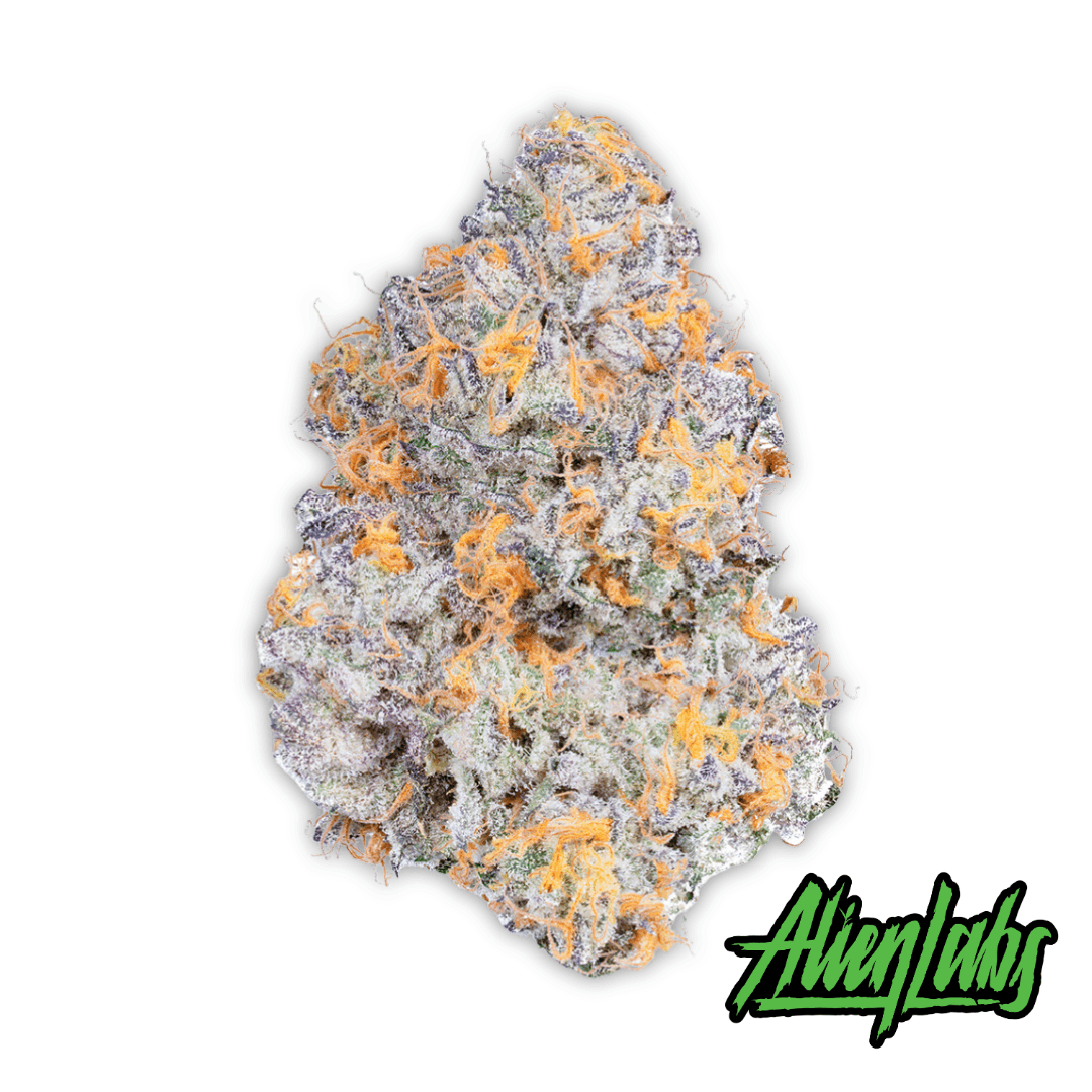 Dark Web Product Image