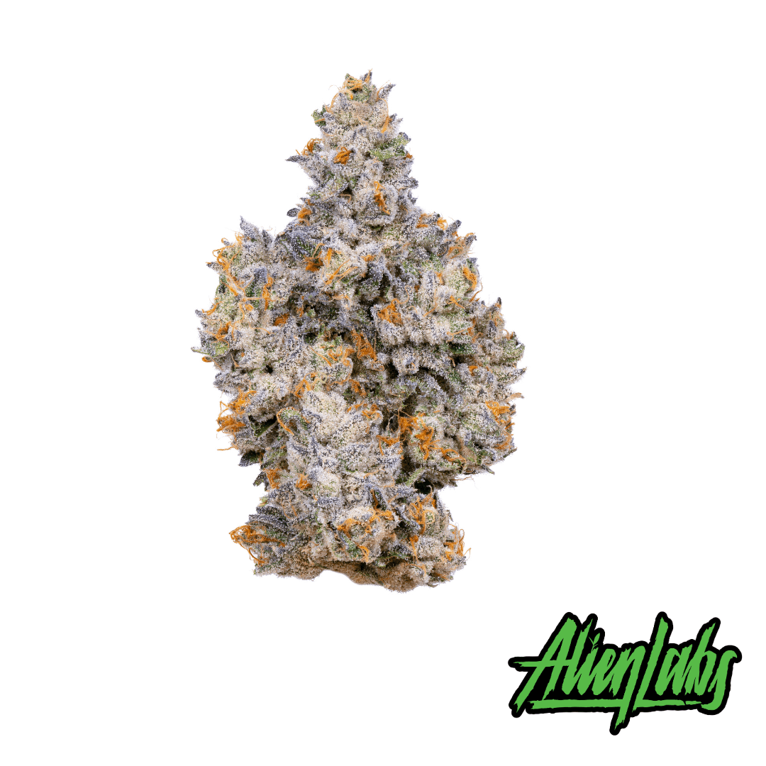 Gemini Product Image