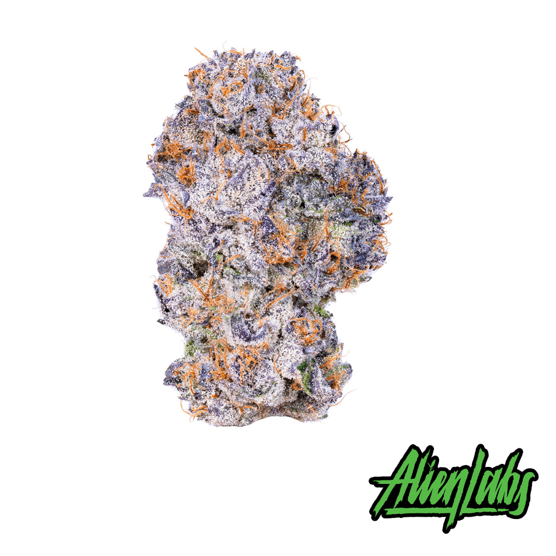 Kryptochronic Product Image