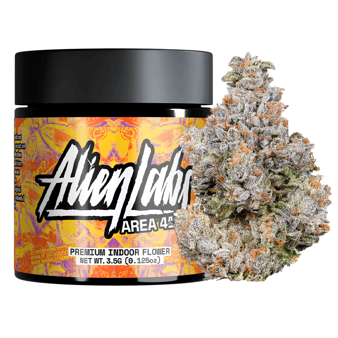 Area 41 Product Image