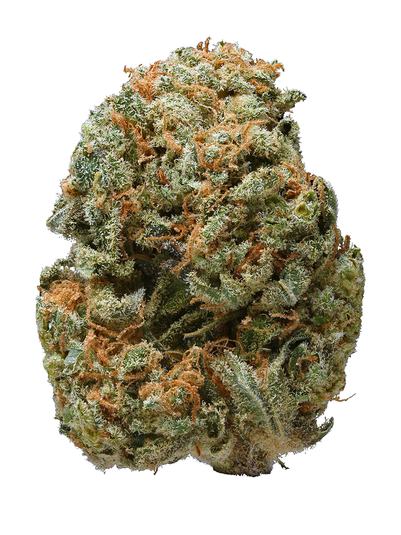 Alpha Blue - Hybrid Cannabis Strain