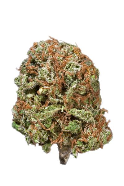 American Kush - Indica Cannabis Strain