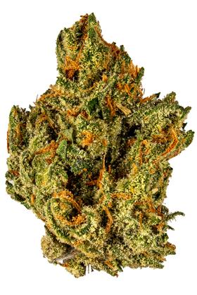 AMG17 - Hybrid Cannabis Strain