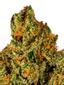 AMG17 Hybrid Cannabis Strain Thumbnail