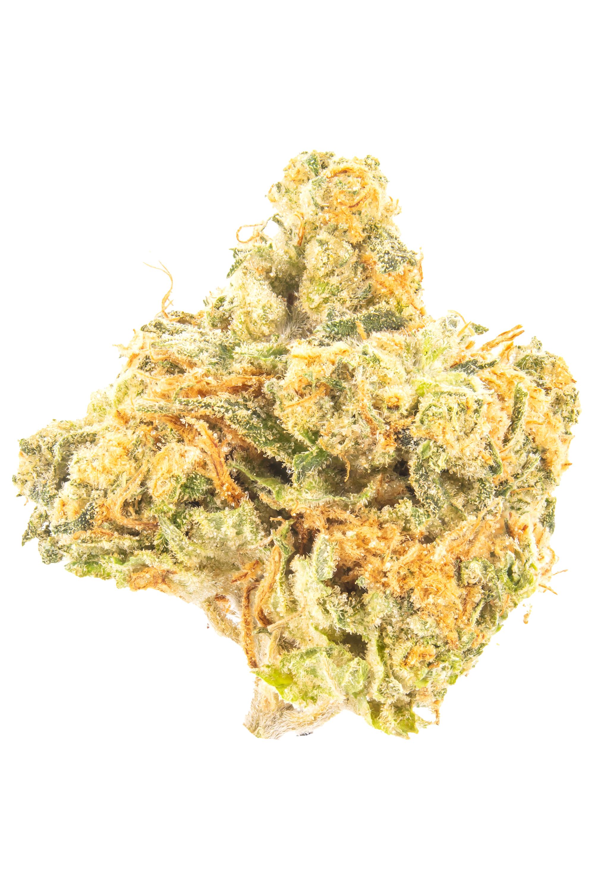 Amnesia - Hybrid Cannabis Strain