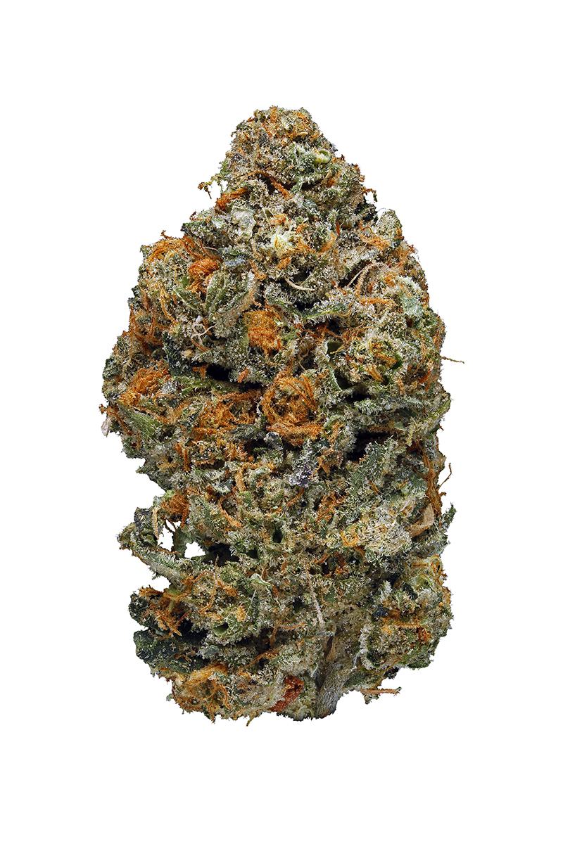 Animal Cookies - Hybrid Cannabis Strain