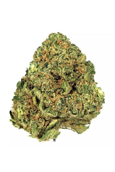 Anslinger - Hybrid Cannabis Strain