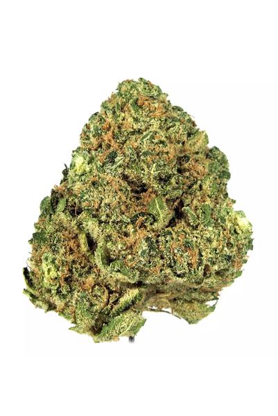 Anslinger - Hybride Cannabis Strain
