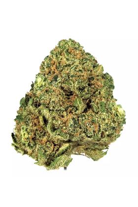Anslinger - Híbrida Cannabis Strain
