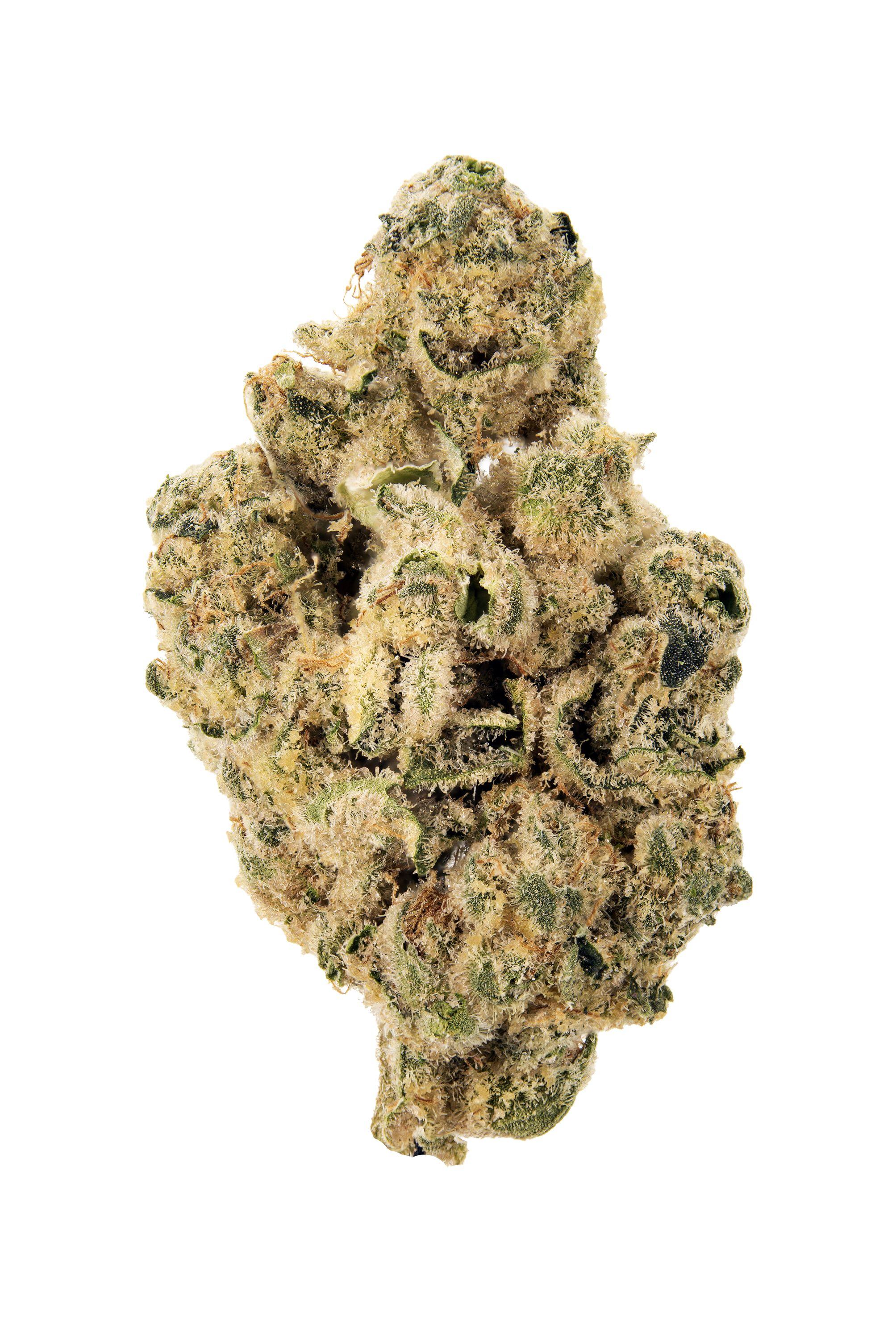 Ape S#%t Cannabis Strain Bud