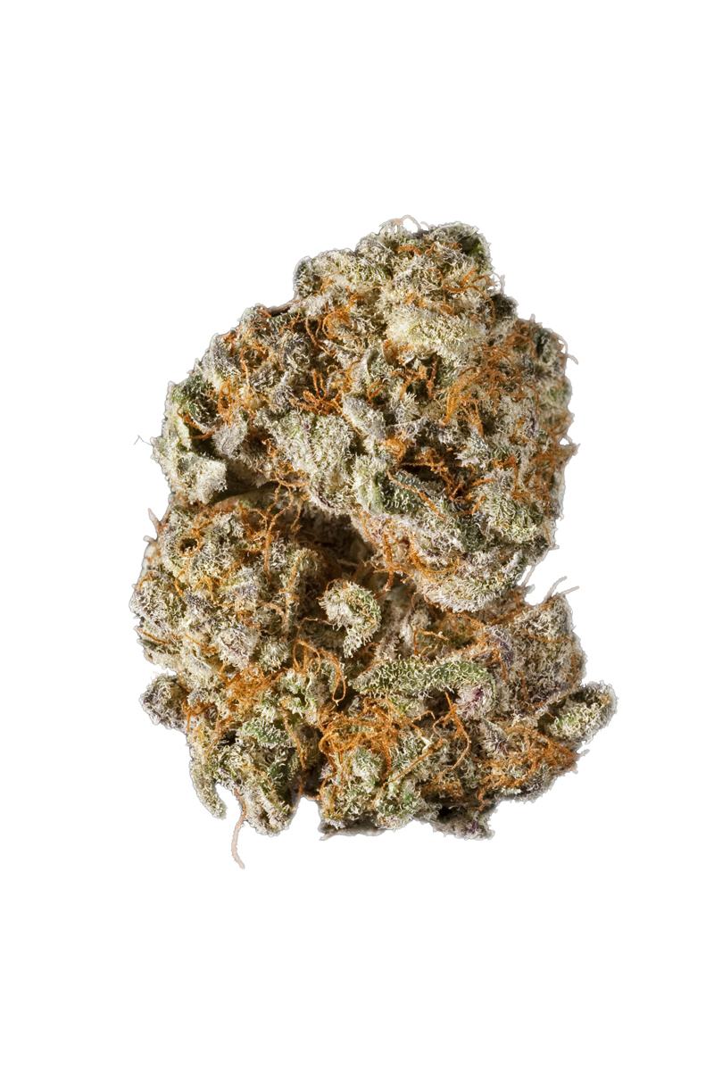 Apple Jack - hybrid Cannabis Strain by Hytiva