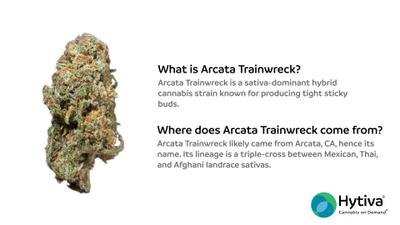 Arcata Trainwreck - Hybrid Strain
