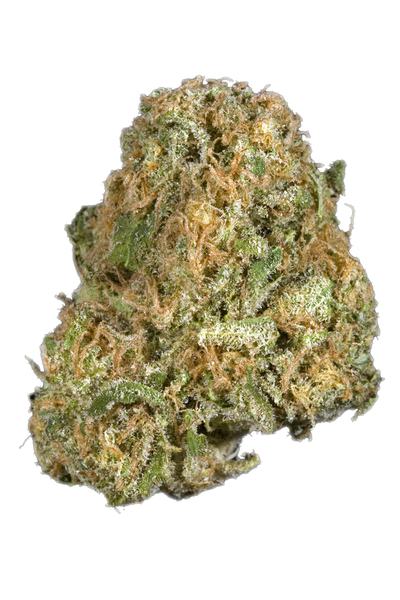 Area 51 - Hybrid Cannabis Strain