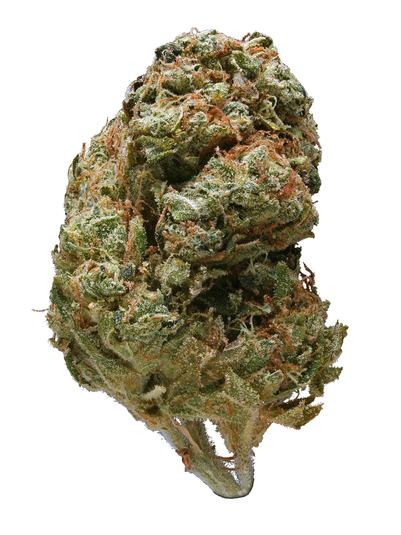 Armageddon - Híbrido Cannabis Strain