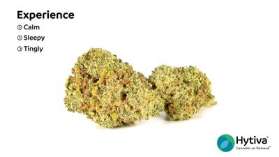 Aspen Sky OG - Hybrid Cannabis Strain