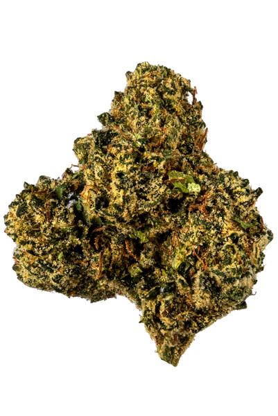 Asteroid OG - Híbrida Cannabis Strain