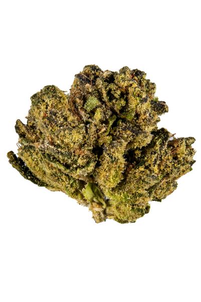 Atlas OG - Hybride Cannabis Strain