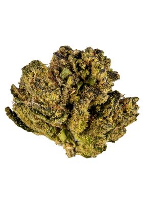 Atlas OG - Hybrid Cannabis Strain