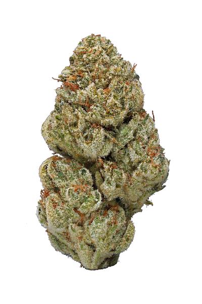 Atomic Goat - Hybrid Cannabis Strain