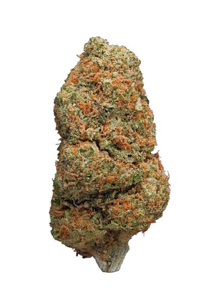 Atomic Northern Lights - Híbrido Cannabis Strain