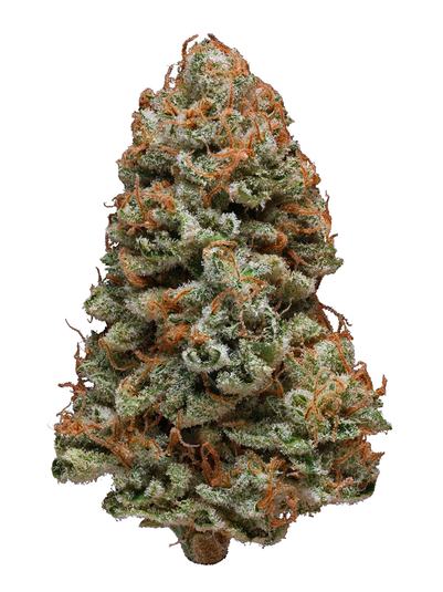 Aurora - Indica Cannabis Strain