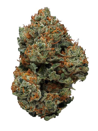 BTY OG - Hybrid Cannabis Strain