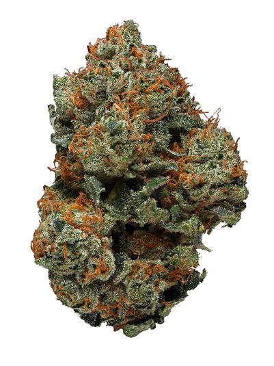 BTY OG - Híbrida Cannabis Strain