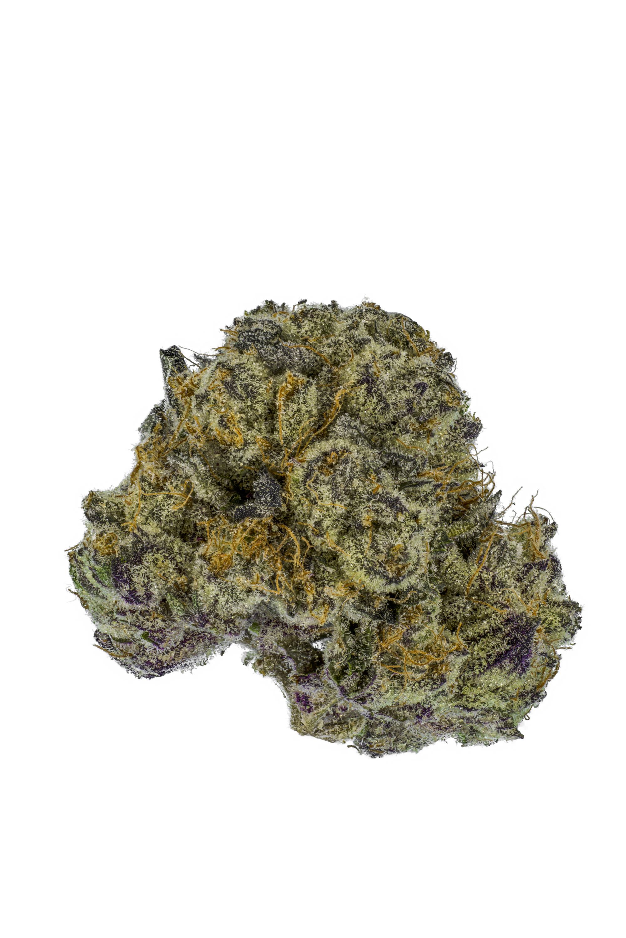 Bad Apple - Hybrid Cannabis Strain